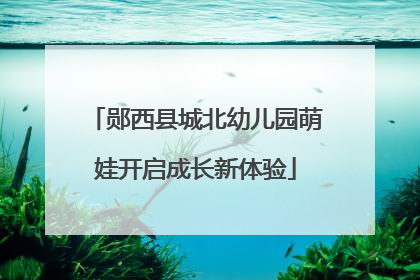 郧西县城北幼儿园萌娃开启成长新体验