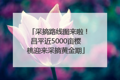 采摘路线图来啦！昌平近5000亩樱桃迎来采摘黄金期