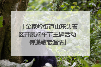 金家岭街道山东头管区开展端午节主题活动 传递敬老温情