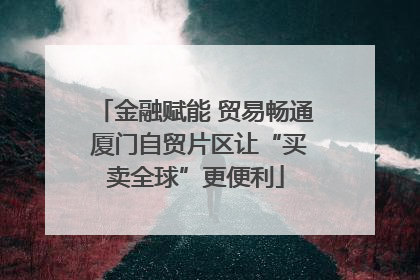 金融赋能 贸易畅通 厦门自贸片区让“买卖全球”更便利