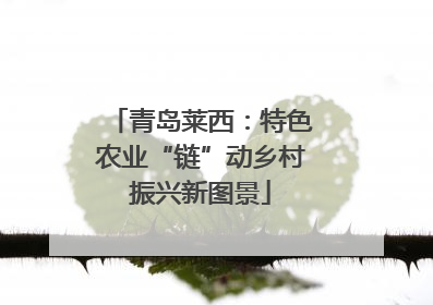 青岛莱西：特色农业“链”动乡村振兴新图景