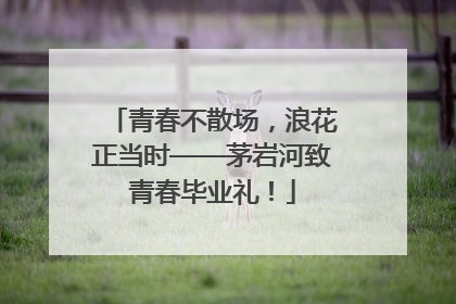 青春不散场，浪花正当时——茅岩河致青春毕业礼！