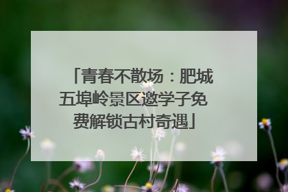 青春不散场：肥城五埠岭景区邀学子免费解锁古村奇遇