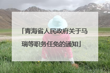 青海省人民政府关于马瑞等职务任免的通知