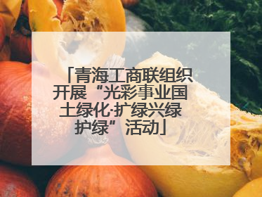 青海工商联组织开展“光彩事业国土绿化·扩绿兴绿护绿”活动