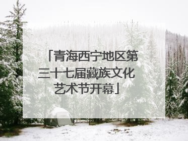 青海西宁地区第三十七届藏族文化艺术节开幕