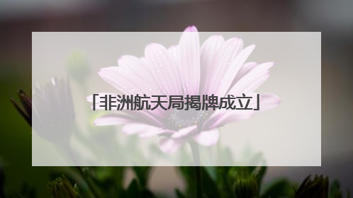 非洲航天局揭牌成立