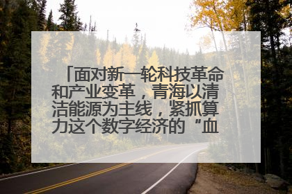面对新一轮科技革命和产业变革，青海以清洁能源为主线，紧抓算力这个数字经济的“血液”、科技主权的“筹码”、产业升级的“杠杆”、绿色转型的“支点”，勇于撬动国家“双碳”战略、“东数西算”工程重大发展新机遇