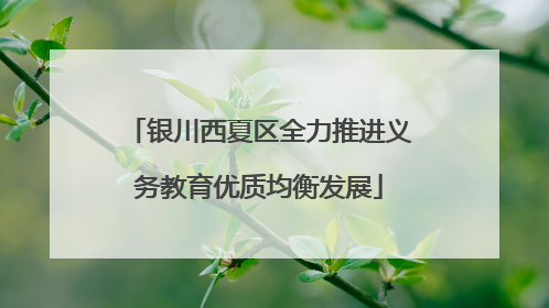 银川西夏区全力推进义务教育优质均衡发展