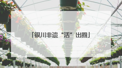 银川非遗“活”出圈