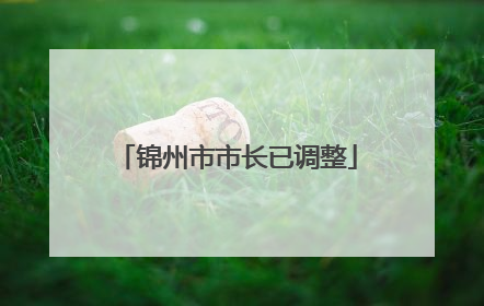 锦州市市长已调整