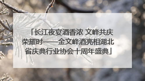 长江夜宴酒香浓 文峰共庆荣耀时——金文峰酒亮相湖北省庆典行业协会十周年盛典