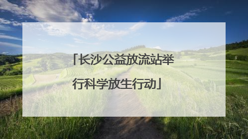 长沙公益放流站举行科学放生行动
