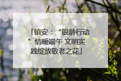 镇安：“银龄行动”情暖端午 文明实践绽放敬老之花