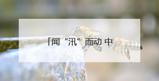 闻“汛”而动 中国太保产险丽水中支筑牢安全守护网