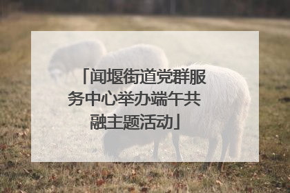 闻堰街道党群服务中心举办端午共融主题活动