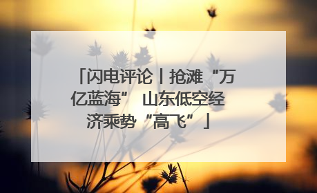 闪电评论丨抢滩“万亿蓝海” 山东低空经济乘势“高飞”