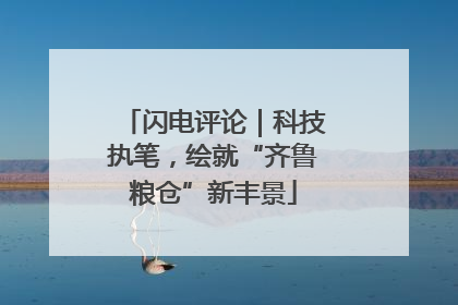 闪电评论｜科技执笔，绘就“齐鲁粮仓”新丰景
