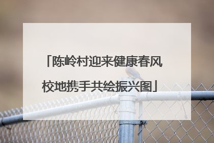 陈岭村迎来健康春风 校地携手共绘振兴图