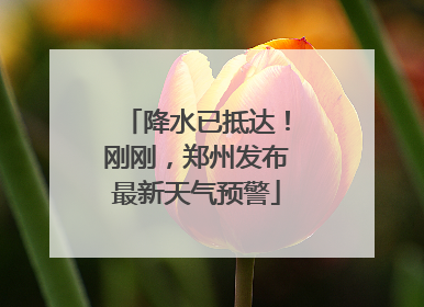 降水已抵达！刚刚，郑州发布最新天气预警