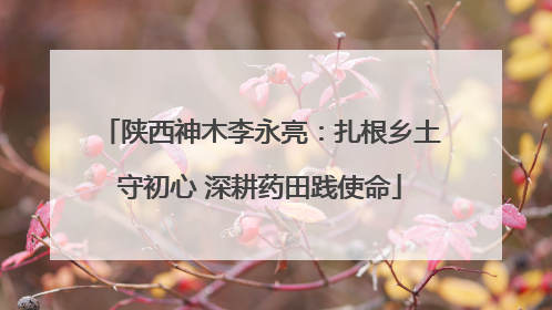 陕西神木李永亮：扎根乡土守初心 深耕药田践使命