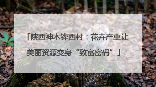 陕西神木铧西村：花卉产业让美丽资源变身“致富密码”