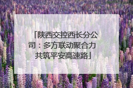 陕西交控西长分公司：多方联动聚合力 共筑平安高速路