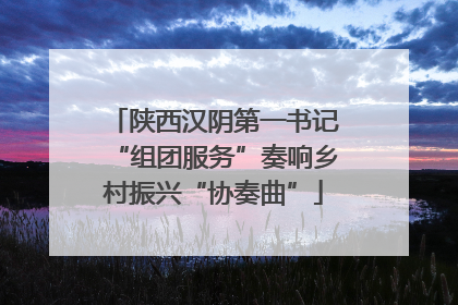 陕西汉阴第一书记“组团服务”奏响乡村振兴“协奏曲”