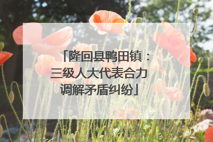 隆回县鸭田镇：三级人大代表合力调解矛盾纠纷
