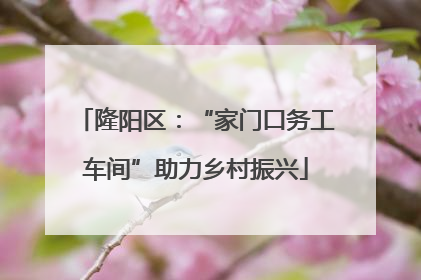 隆阳区：“家门口务工车间”助力乡村振兴