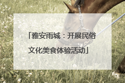 雅安雨城：开展民俗文化美食体验活动