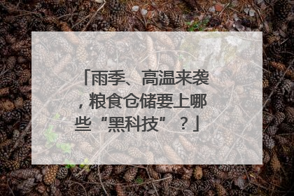 雨季、高温来袭，粮食仓储要上哪些“黑科技”？