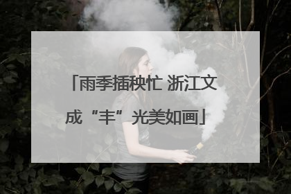 雨季插秧忙 浙江文成“丰”光美如画