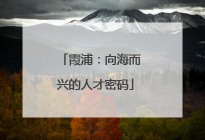 霞浦：向海而兴的人才密码
