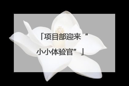 项目部迎来“小小体验官”