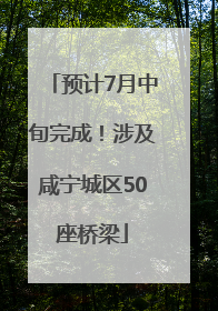 预计7月中旬完成！涉及咸宁城区50座桥梁