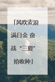 风吹麦浪满目金 奋战“三夏”抢收种