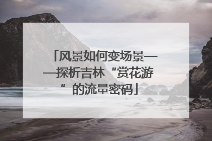 风景如何变场景——探析吉林“赏花游”的流量密码