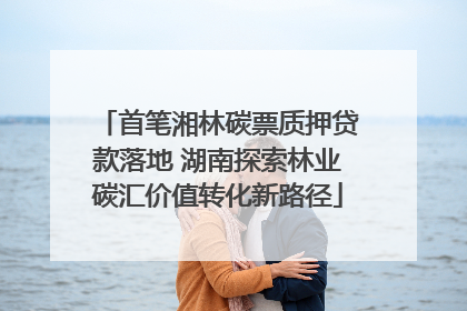 首笔湘林碳票质押贷款落地 湖南探索林业碳汇价值转化新路径