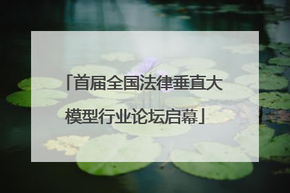 首届全国法律垂直大模型行业论坛启幕