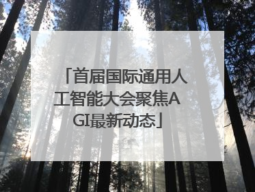 首届国际通用人工智能大会聚焦AGI最新动态