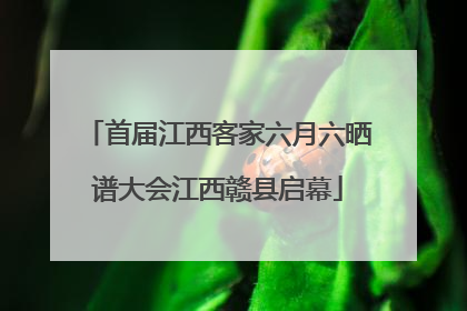 首届江西客家六月六晒谱大会江西赣县启幕