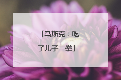 马斯克：吃了儿子一拳