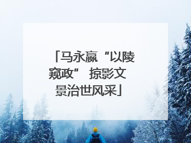 马永嬴“以陵窥政” 掠影文景治世风采