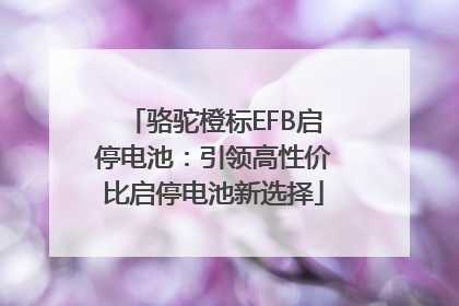 骆驼橙标EFB启停电池：引领高性价比启停电池新选择