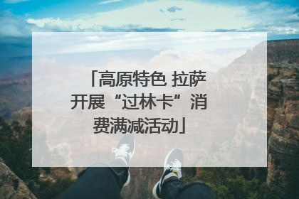 高原特色 拉萨开展“过林卡”消费满减活动