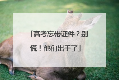 高考忘带证件？别慌！他们出手了