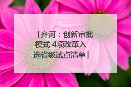 齐河：创新审批模式 4项改革入选省级试点清单