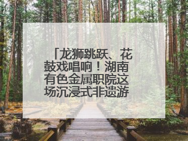 龙狮跳跃、花鼓戏唱响！湖南有色金属职院这场沉浸式非遗游园活动很带感