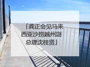 龚正会见马来西亚沙捞越州副总理沈桂贤